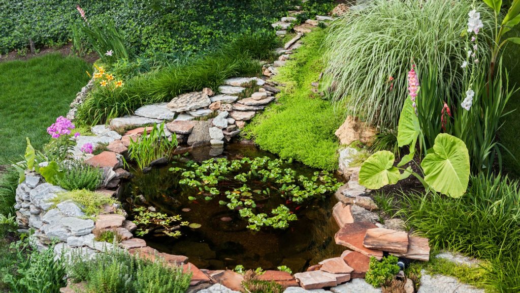 Hast du schon einmal darüber nachgedacht, deinen Garten mit einem schönen Teich zu bereichern? Ein Teich kann nicht nur die Ästhetik deines Gartens verbessern, sondern auch ein beruhigendes Element sein, das die lokale Flora und Fauna unterstützt.
