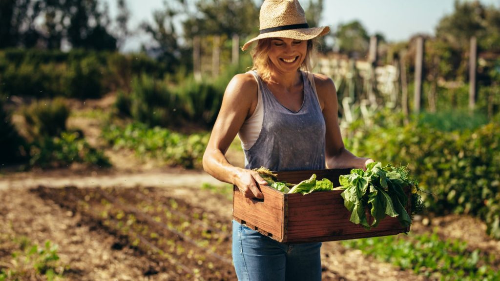 Willst du wissen, wie du deinen eigenen Nutzgarten anlegst, der nicht nur umweltfreundlich, sondern auch nachhaltig ist? Dann bist du hier genau richtig.