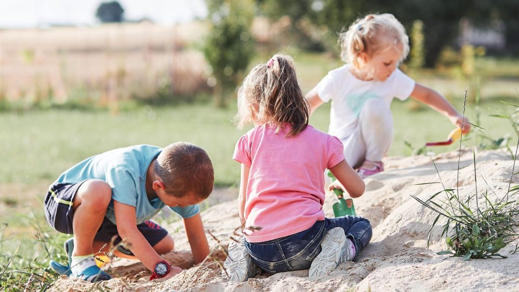 Wenn wir unseren Kindern eine Freude machen wollen, gibt es kaum etwas Besseres als einen Spielplatz direkt im eigenen Garten. Aber wie wäre es, wenn dieser Spielplatz nicht nur Spaß, sondern auch ein Stück Natur bieten könnte? Genau darum geht es uns heute: Wir zeigen dir, wie du einen naturnahen Spielplatz im Garten gestaltest.