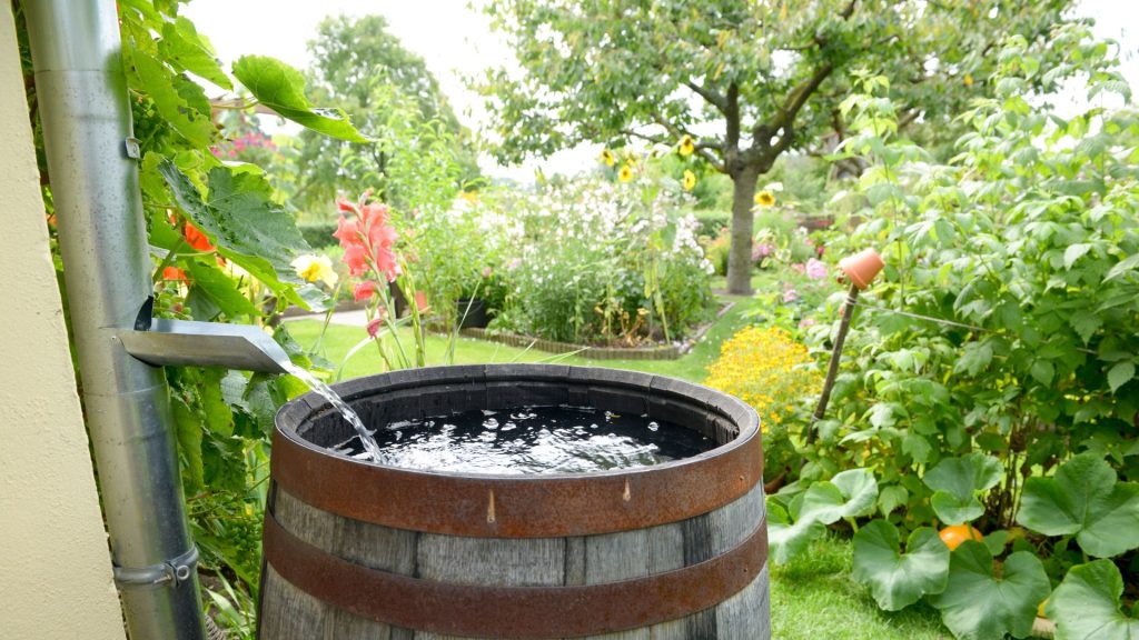Du möchtest Wasser sparen und gleichzeitig deinen Garten pflegen? Ein Regenwassersammelbehälter ist genau das Richtige für dich!