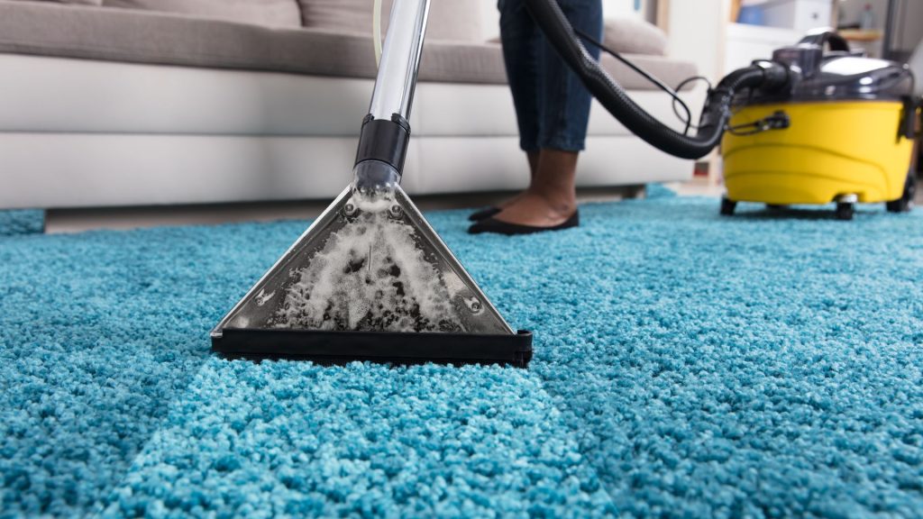 Wenn du nach den besten Methoden suchst, deinen Teppich sauber und gepflegt zu halten, bist du hier genau richtig! Wir zeigen dir, wie es geht.