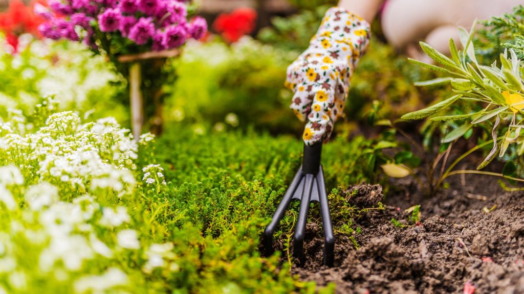 Wenn du denkst, ein kleiner Garten bietet nicht viel Spielraum, lass uns das heute gemeinsam ändern! Mit kreativen Ideen können wir auch kleine Grünflächen in wundervolle Oasen verwandeln.
