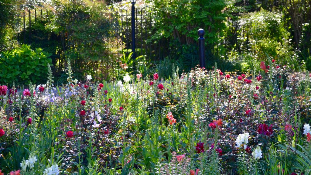 Wenn du deinen Garten liebevoll gestalten und gleichzeitig der Umwelt etwas Gutes tun willst, dann sind unsere Tipps zum nachhaltigen Gärtnern genau das Richtige für dich. Hier erfährst du, wie du einen umweltfreundlichen Garten anlegst und pflegst.