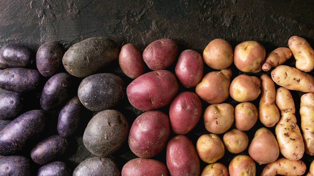 Du willst deinen Garten ein bisschen aufpeppen? Wie wäre es mit ein paar ungewöhnlichen Gemüsesorten, die nicht nur interessant aussehen, sondern auch köstlich schmecken?